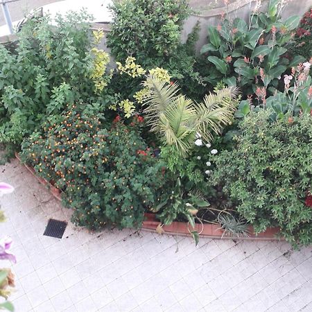 Bed And Breakfast Le Petunie Бари Сардо Екстериор снимка